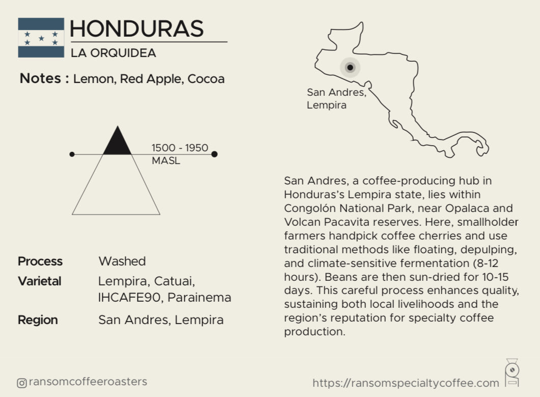 Single Origin- Honduras La Orquidea Filter Roast