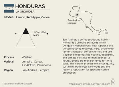 Single Origin- Honduras La Orquidea Filter Roast