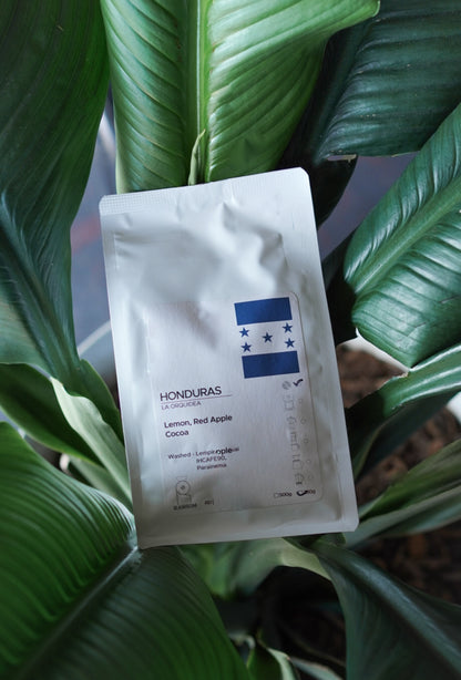 Single Origin- Honduras La Orquidea Filter Roast