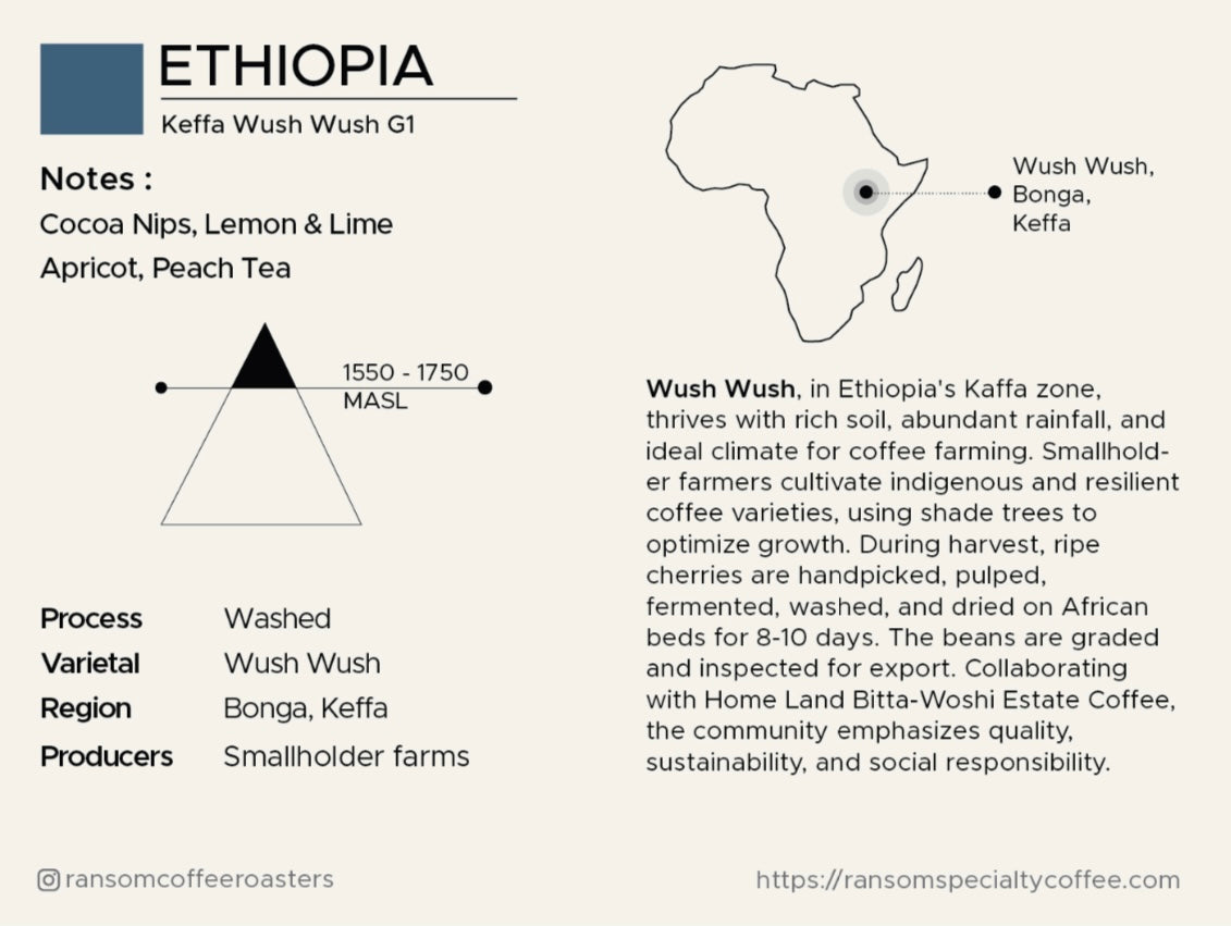 Single Origin- Ethiopian Wush Wush- Espresso Roast